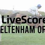 bet cheltenham